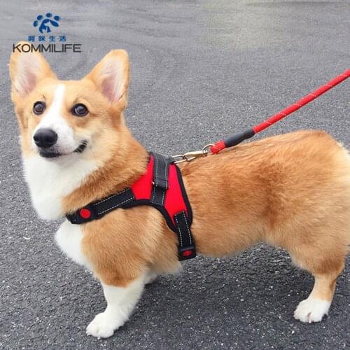 Nylon Dog Harness Vest Reflective Dog Harness and Leash Set Breathable Pet Harness for Dogs Small Medium Large Dog Accessories