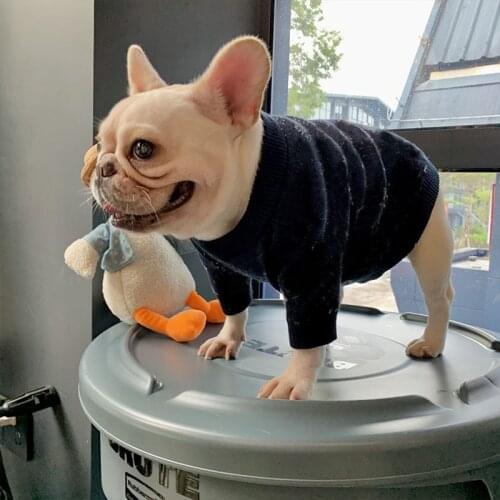 Winter Pomeranian Sweater for Yorkies Poodle Coat Warm Outfit for Pug Chihuahua Apparel PC2011