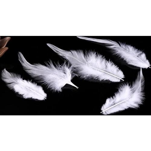 2018 New! White Feather 50 Pc Quality Pheasant Feather, 5-6 "/ 12-15cm DIY Decoration Accessories, Weddings, Family