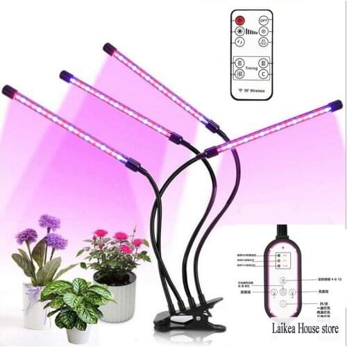 RTD Plant Lamps
