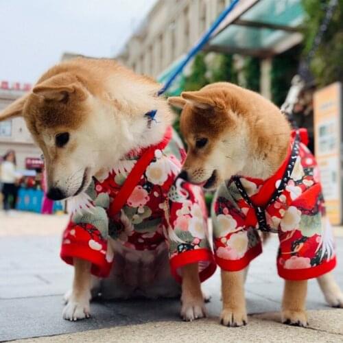 Cat Skirt Pet Dog Japanese Pet Costoms Style Cat Clothes Crane Net Red Autumn Winter Corgi Teddy Pappy Clothes