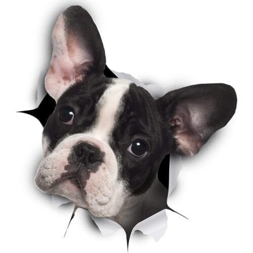 Realistic 3D Visual Personalized Fashion Stickers Used for Car Motorcycle Wall Furniture Waterproof Vinyl KK PVC 13cm X 11.8cm