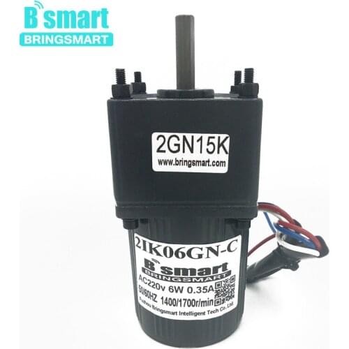 Bringsmart 220V AC Gear Motor 6W Constant Speed Single-Phase Induction Motor Micro Motor