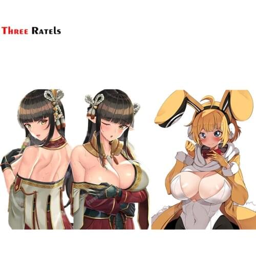 Three Ratels A736 Usalia Last Origin Occlusion Scratch DIY Vinyl Material Decor Car Sticker Waterproof Protected Auto Accessory