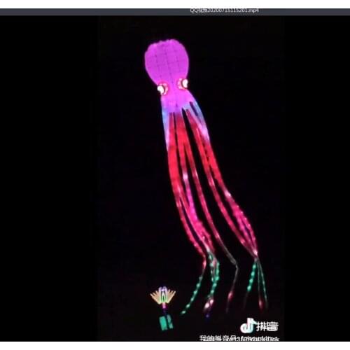 Led Octopus kite pendant for audlts kite windsock line laundry for outdoor fun show kites free shipping