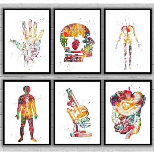 Circuit Hand Circuit Man Head Circulatory System Compound Microscope Digestive Tract Anatomical Medical And Science Poster
