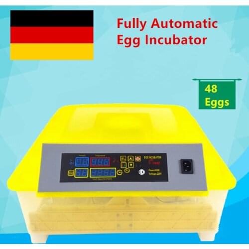 220V Mini Egg Incubator 48 Eggs Circulation Duct Automatic Thermostat High Hatching Rate Incubator For Chicken Duck