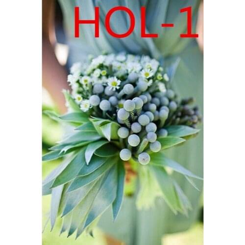 Weddings and important occasions / Wedding accessories / Bridal bouquets HOL