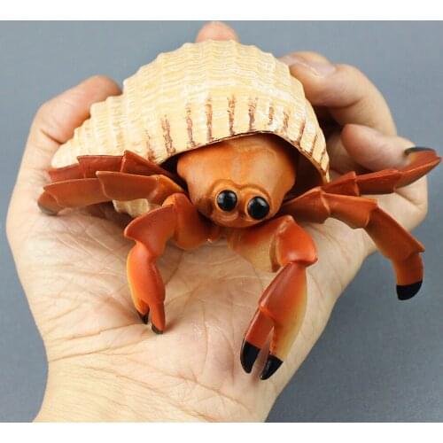 Hermit crab Model Emulation sea Life animals monster Marine organism Crab Early education Toys Collection Gift Decor Gift