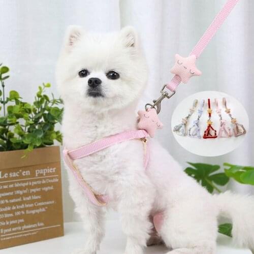 Pet Accessories Leash Dog Cat Chest Harness Walking The Dog Out Small Medium And Large Dog Teddy Starfish