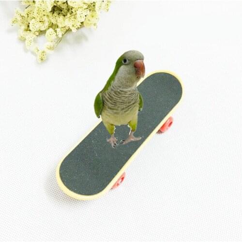 Skateboard Parrot Bird Toy Pet Bird Parrot Stand Platform Bird Cage Decoration Parrot Bird Training Toy Hamster Toy For Hamster