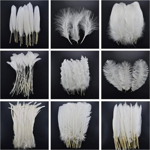 20pcs White Rooster Goose Pheasant Feathers for Crafts jewelry making Peacock Ostrich Feathers Wedding Decoration Plume plumas
