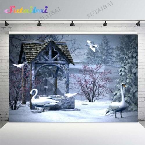 Winter Snow Background Photography Custom Swan Princess Flower Photo Background High Quality Computer Print Wallpaper Backdrop