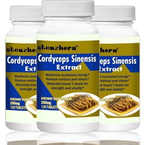 Cordyceps Sinensis extract Mushroom Extract 250mg120PCS X 3B can help the body fight against free radical damage
