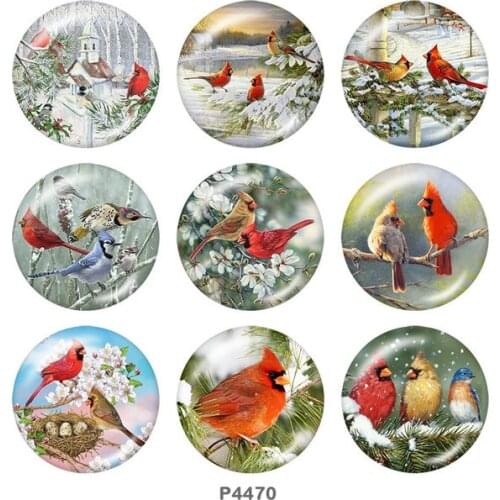 Christmas Cardinals 12mm/18mm/20mm/25mm/30mm/40mm Round glass cabochon flat back Making findings snap button jewelry P4470