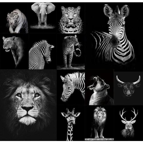 Black White Diamond Painting Full Square Drill Cross Stitch Animal Diamond Embroidery Sale Mosaic Crafts Kit