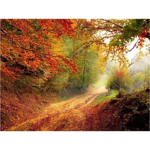 5D Diy Diamond embroidery Cross stitch Autumn maple leaf Full Square Round Drill mosaic Diamond painting Wall StickerZP-2537