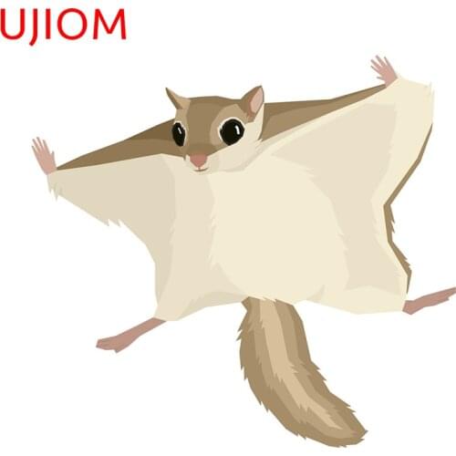 UJIOM Animals The Flying Squirrel Decoracion Para Sala Home Office Waterproof Wall Stickers Kitchen Funny Decorative Decals