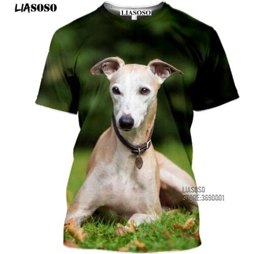 LIASOSO Funny Animals Greyhound Mens Tshirt 3D Print Racing Dog T-shirt Summer Casual Round Collar Short Sleeve Harajuku SHirt