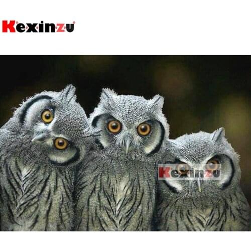 Kexinzu 5D DIY Full Square/Round Drill Diamond Painting Kit "owl" Embroidery Mosaic Cross Stitch Stickers Decor Gift X448545