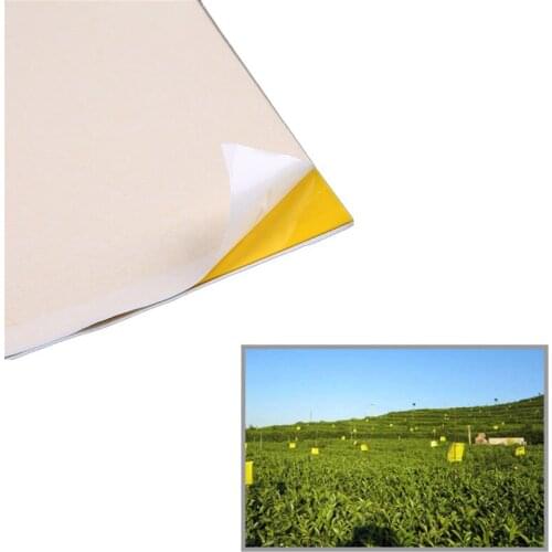 5PCS Pest Control Mosquito Trap Strong Flies Sticky Traps Bugs Sticky Catching Insects Pest Killer Double Side Outdoor Fly Board