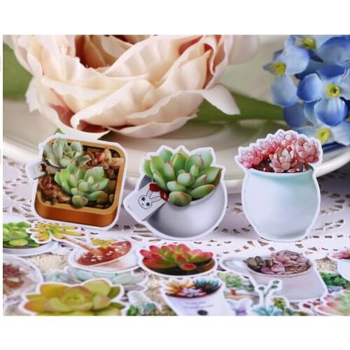 30pcs Creative kawaii Self-made fresh and fleshy plants beautiful stickers /decorative sticker /DIY craft photo albums TZ69