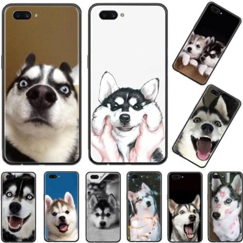 Husky dog Phone Case For OPPO R9 R11 R15 R17 RENO Realme S PLUS Normal 2z 3 5 C2 pro