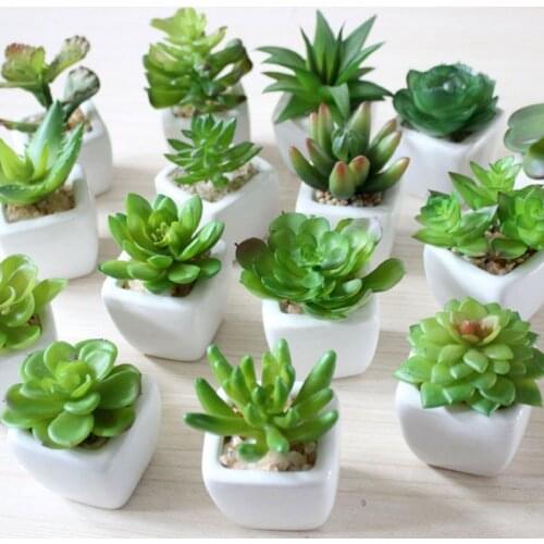 Mini Vivid Cactus Succulent Home Garden Decoration Artificial Bonsai Plant with Vase for Office Table Decor Indoor Fake Plants