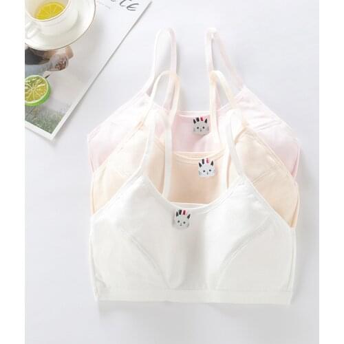 Wholesale Clothing Cotton Childrens Underwears Teenage Girls Clothing 8-16 Yrs Training Bras Puberty Girls Underwear Sports Bra