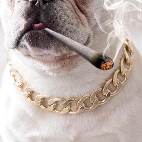 Hit Upon Clothes And Footwear For Dogs