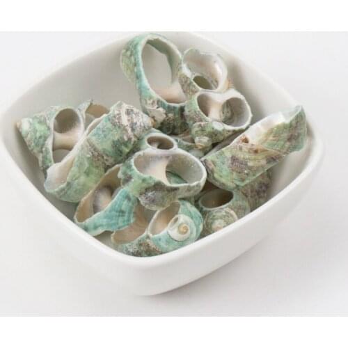 28-32mm Green Natural Spiral Shell Loose Beads for jewelry making DIY 10pcs TRS0134X