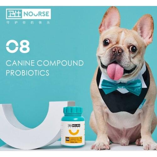 Ncourse Dog Gastrointestinal Conditioning Calcium Tablets 400 Tablets General Health Products Pet Gastrointestinal Po