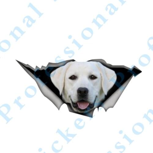 3D Animal 13 x 4.8 Rabbits sticker Vinyl decal 3D Pet Graphic Vinyl Decal Car Motorcycle Laptop Vinyl Animal Car Stickers