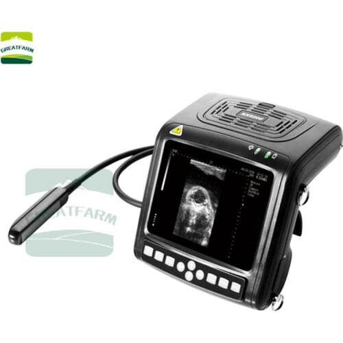 Full Digital Ultrasonic Diagnostic Instruments Portable Veterinary Ultrasound Scanner machine For Cattle Horse Pig Dog Cat