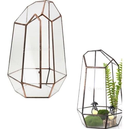 Irregular Glass Geometric Terrarium Box Tabletop Succulent Plant Planter