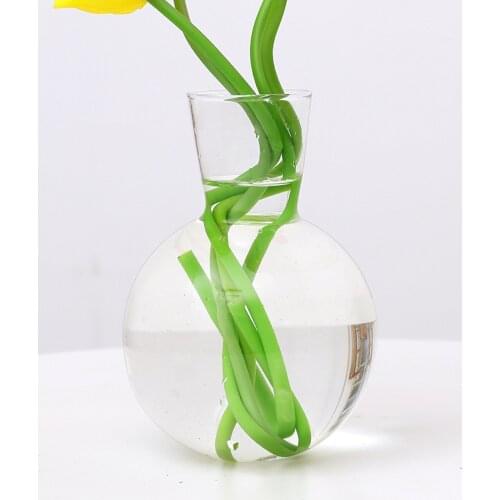 Round Shape Glass Plant Flower Landscape Vase Container Transparent Bulb Vase for Hydroponic Plant