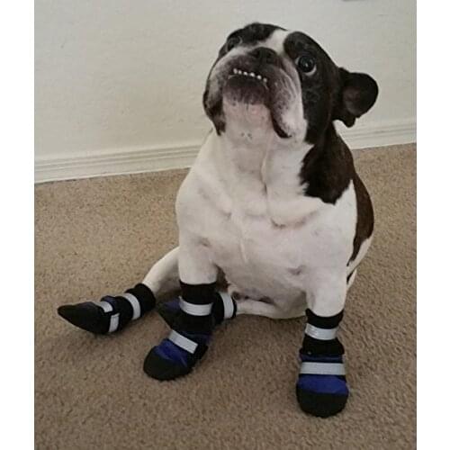 Dog Shoes - Paw Protector Dog Boots for Rain, Snow, Salt & Heat - Available in 4 Colors & 5 Sizes
