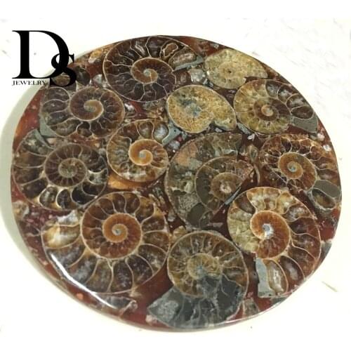 120mm Natural Ammonite Slice Plate Fossil Slices Ocean Snail Conch Stone Madagascar Mineral Specimen For Decoration Display