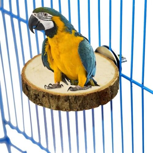 2PCS Round Wooden Parrot Perch Stand Toy Small and Medium Birds Platform Hanging Bite Chew Colorful Toys Bird Supplies