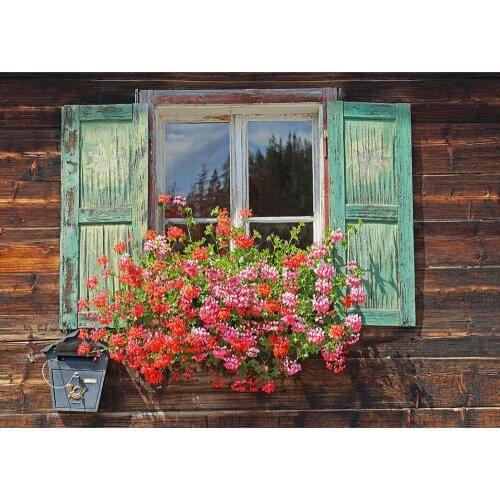 Retro Wooden Wall Window Flowers Photographic Background Custom Backdrop for Baby Children Portrait Pets Photoshoot Photo Studio