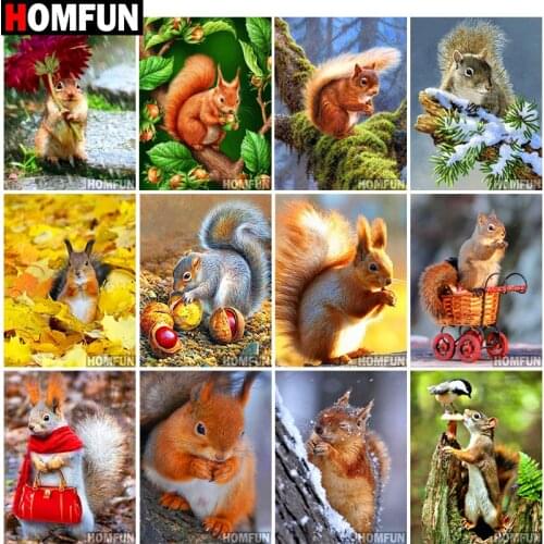 HOMFUN Diamond Painting Full Square/Round Drill 5D DIY "Animals Squirrel" 3D Daimond Embroidery Rhinestone Cross Stitch Decor