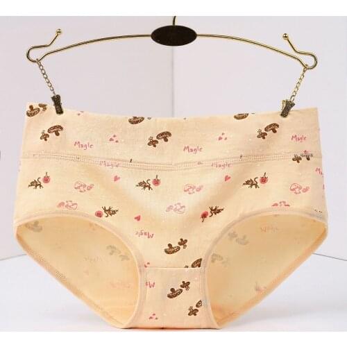 Cotton Underwear Women Panties High Waist Briefs Cueca Plus Size Calcinhas Sexy Transparent Panty Short Seamless Underpant Girls