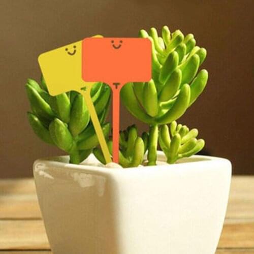 100pcs T Shape Garden Labels Gardening Plant Classification Markers Sorting Seedling Tags Greenhouse Nursery Pots Writing Plate