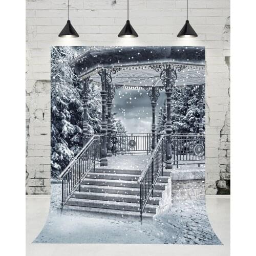 VinylBDS WIinter Snow Stairs Flight Photography Backdrop Wedding Outdoor Photo Studio Background for Children Props