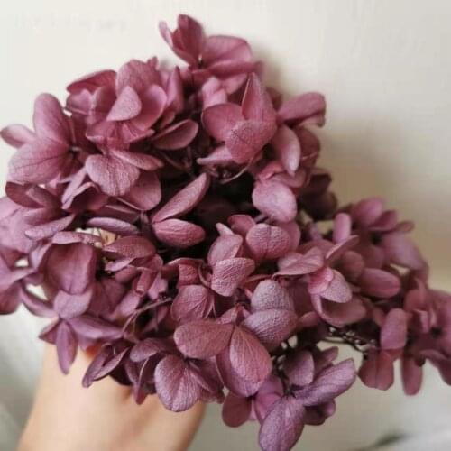 5g/lot,Grade A Preserved Midleaf Hydrangea,Nature Fresh Flower Head DIY Valentines Day gift box,Real Eternal Wedding Decoration