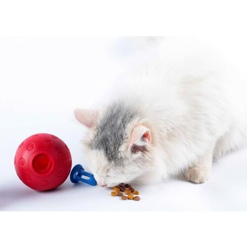 Polo Pet Toys For Cats