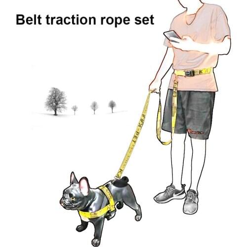 Pet Dog Cat Running Jogging Padded Waist Belt Elastic Leash Perfect Walking Training Dog Leash Set Hands Free