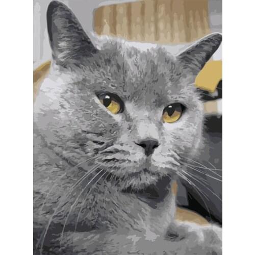 DIY Painting By Numbers Animals Cat Oil Painting HandPainted Home Decor Gift Wall Decor Canvas Drawing