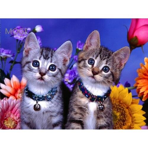 Two adorable cats DIY diamond painted set diamond Masai animal cats with full diamond embroidered wall decoration