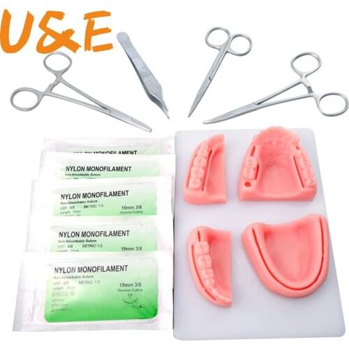 Dental Simulation oral suture model with needle Gum suture teaching training equipment skill practice